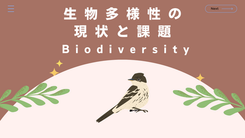 1 生物多様性の現状