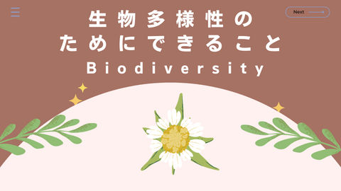 1 MY行動宣言